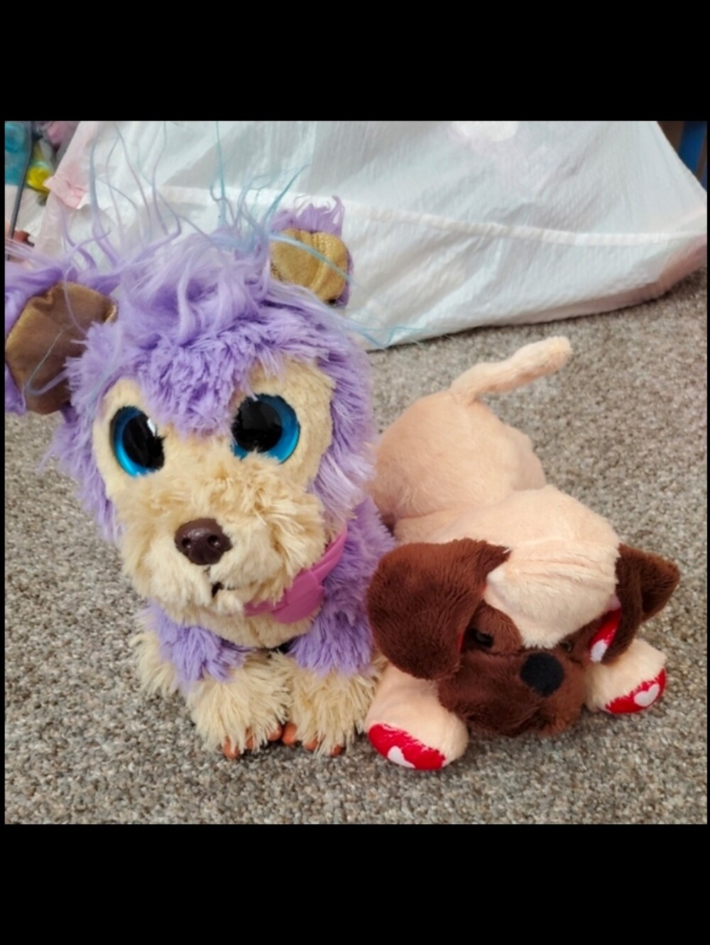 Stuffed Animals